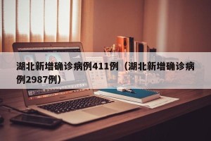 湖北新增确诊病例411例（湖北新增确诊病例2987例）