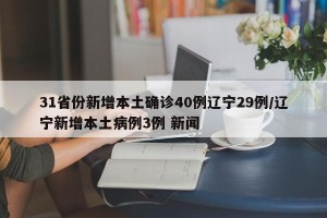 31省份新增本土确诊40例辽宁29例/辽宁新增本土病例3例 新闻